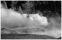 Thermal steam and frosted trees. Yellowstone National Park, Wyoming, USA. (black and white)