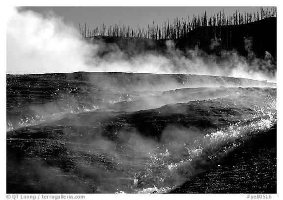 Steam and hill, Midway geyser basin. Yellowstone National Park (black and white)