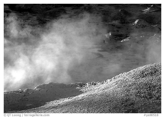 Mud cauldron at fountain paint pot. Yellowstone National Park, Wyoming, USA.