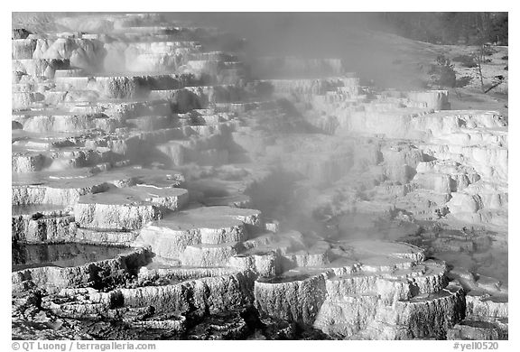 Minerva travertine terraces at Mammoth Hot Springs. Yellowstone National Park, Wyoming, USA.