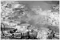 Minerva travertine terraces at Mammoth Hot Springs. Yellowstone National Park, Wyoming, USA. (black and white)