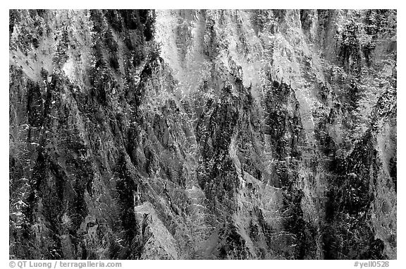 Buttresses and ridges, Grand Canyon of Yellowstone. Yellowstone National Park (black and white)