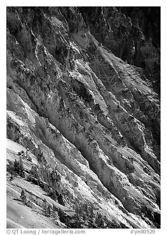 Canyon slopes, Grand Canyon of Yellowstone. Yellowstone National Park (black and white)