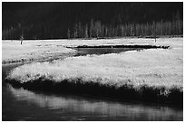 Yellowstone River and meadow in fall. Yellowstone National Park, Wyoming, USA. (black and white)