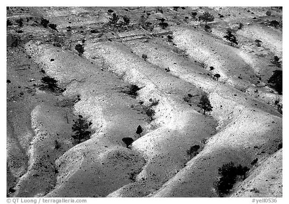 Fresh snow on foothill ridges. Yellowstone National Park (black and white)