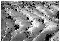 Fresh snow on foothill ridges. Yellowstone National Park, Wyoming, USA. (black and white)