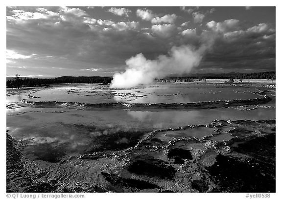Great Fountain geyser. Yellowstone National Park (black and white)