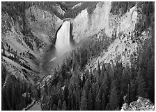 Canyon and Lower Falls of the Yellowstone river. Yellowstone National Park, Wyoming, USA. (black and white)