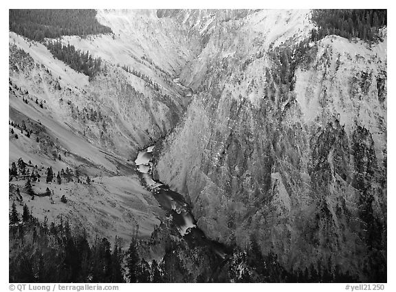 River and Walls of the Grand Canyon of Yellowstone, dusk. Yellowstone National Park (black and white)