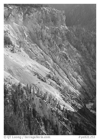 Slopes of Grand Canyon of the Yellowstone. Yellowstone National Park, Wyoming, USA.