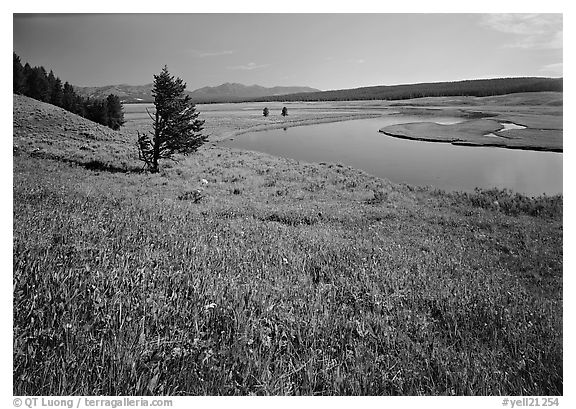 Meadow and bend of the Yellowstone River, Hayden Valley. Yellowstone National Park, Wyoming, USA.