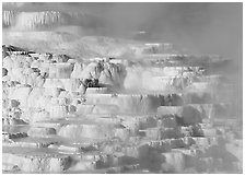 Minerva travertine terraces, Mammoth Hot Springs. Yellowstone National Park, Wyoming, USA. (black and white)