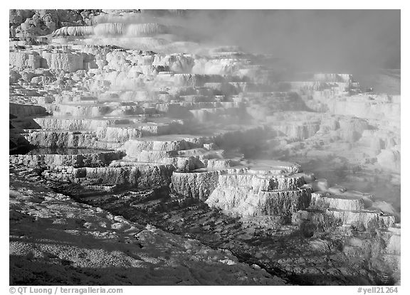 Minerva travertine terraces and steam, Mammoth Hot Springs. Yellowstone National Park (black and white)