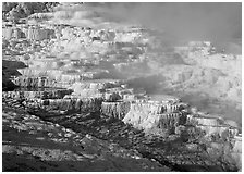 Minerva travertine terraces and steam, Mammoth Hot Springs. Yellowstone National Park, Wyoming, USA. (black and white)