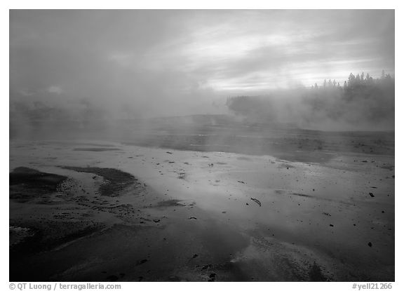 Steam in Norris Geyser Basin at dawn. Yellowstone National Park (black and white)