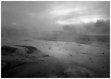 Steam in Norris Geyser Basin at dawn. Yellowstone National Park ( black and white)