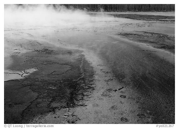 Great prismatic springs, Midway geyser basin. Yellowstone National Park (black and white)