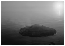 Fishing cone, fog, and sun rising. Yellowstone National Park, Wyoming, USA. (black and white)