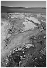 West Thumb geyser basin and Yellowstone lake. Yellowstone National Park ( black and white)