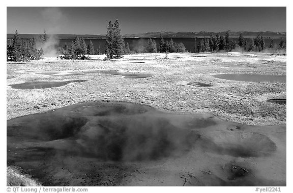 West Thumb Geyser Basin. Yellowstone National Park (black and white)
