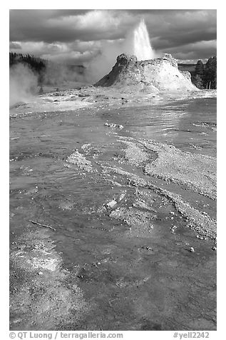 Castle Geyser in Upper Geyser Basin. Yellowstone National Park, Wyoming, USA.