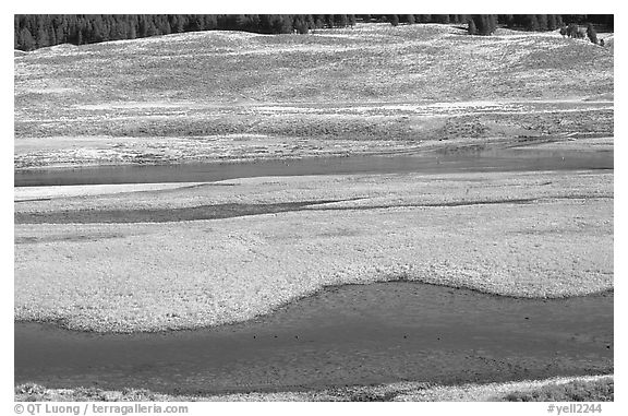 Yellowstone River and meadow in fall. Yellowstone National Park, Wyoming, USA.