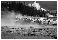 Fumeroles and forest in Upper Geyser Basin. Yellowstone National Park, Wyoming, USA. (black and white)