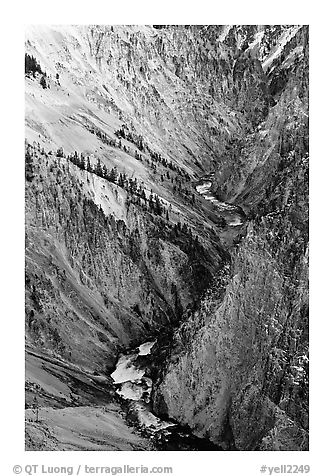 Yellowstone River, Grand Canyon of Yellowstone. Yellowstone National Park, Wyoming, USA.