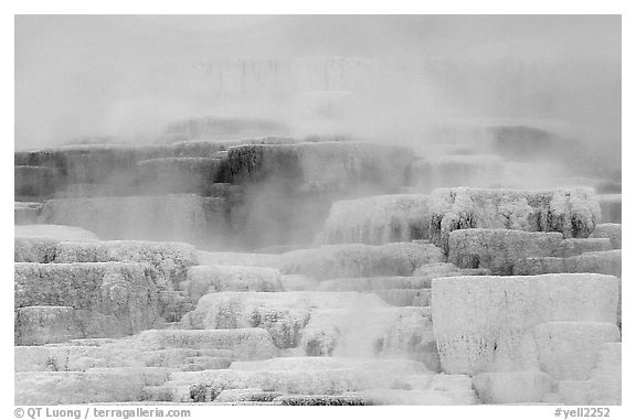 Travertine terraces at Mammoth Hot Springs. Yellowstone National Park, Wyoming, USA.