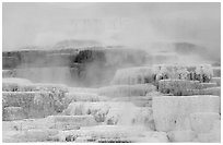 Travertine terraces at Mammoth Hot Springs. Yellowstone National Park, Wyoming, USA. (black and white)