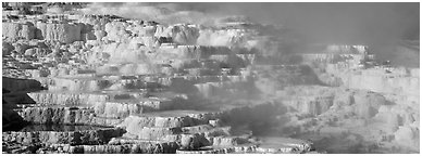 Thermal travertine terraces. Yellowstone National Park (Panoramic black and white)