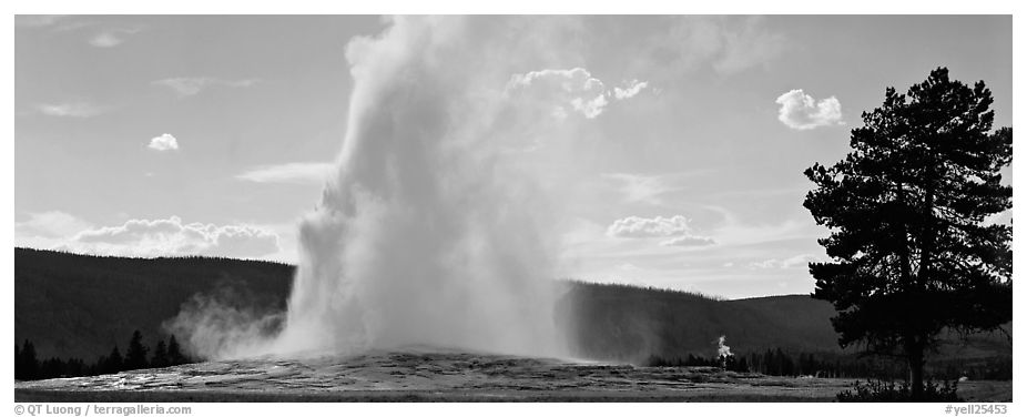 Old Faithful geyser. Yellowstone National Park (black and white)