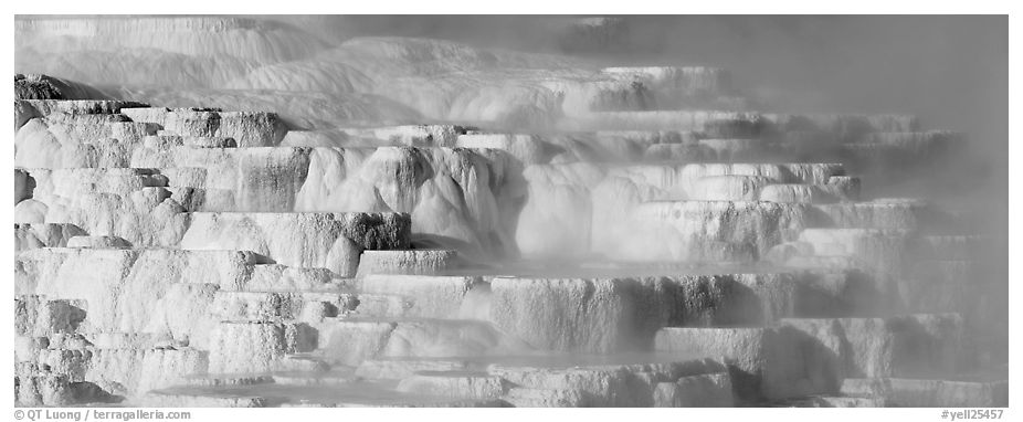 Travertine terraces and steam. Yellowstone National Park (black and white)