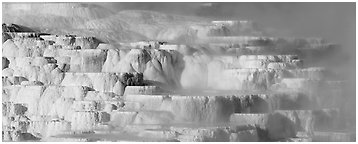 Travertine terraces and steam. Yellowstone National Park (Panoramic black and white)