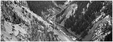 Yellowstone River meandering through canyon. Yellowstone National Park (Panoramic black and white)