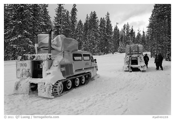 Snowcoaches on snow-covered road. Yellowstone National Park, Wyoming, USA.