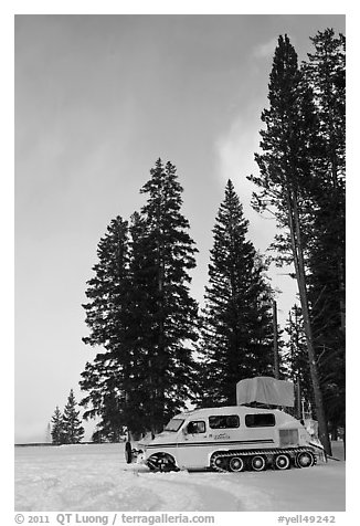Snowcoach and trees. Yellowstone National Park (black and white)
