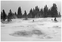 Steam rising from pool in winter, West Thumb. Yellowstone National Park, Wyoming, USA. (black and white)