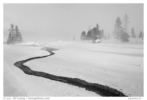 Thermal run-off and snowy landscape. Yellowstone National Park (black and white)
