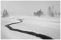 Thermal run-off and snowy landscape. Yellowstone National Park, Wyoming, USA. (black and white)