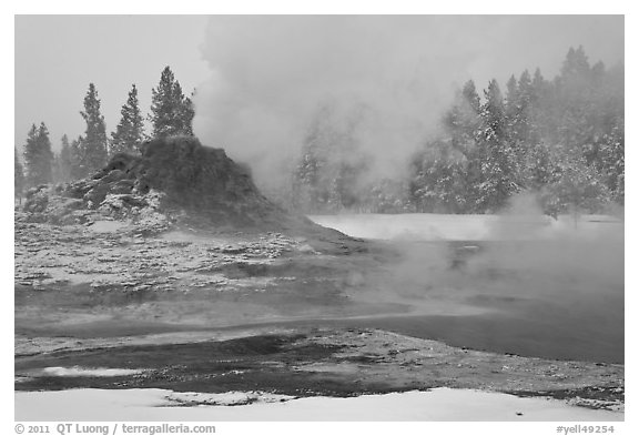 Castle geyser cone and steam in winter. Yellowstone National Park, Wyoming, USA.
