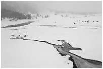 Winter landscape with thermal run-off. Yellowstone National Park, Wyoming, USA. (black and white)