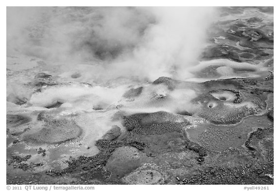Hot springs detail. Yellowstone National Park (black and white)