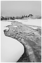 Thermal run-off stream contrasts with snowy landscape. Yellowstone National Park, Wyoming, USA. (black and white)