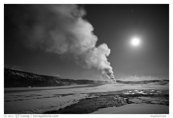 Old Faithful Geyser eruption and moon. Yellowstone National Park, Wyoming, USA.