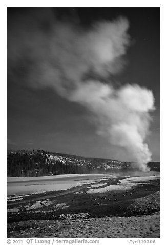 Plume, Old Faithful geyser, winter night. Yellowstone National Park, Wyoming, USA.