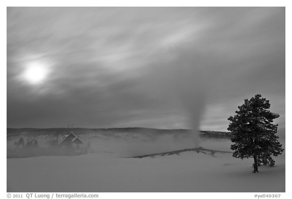 Old Faithful geyser, moon and clouds. Yellowstone National Park, Wyoming, USA.