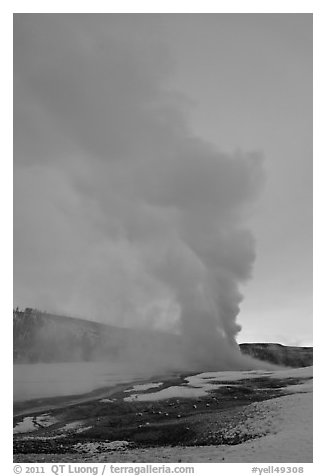 Old Faithful Geyser, daww eruption. Yellowstone National Park, Wyoming, USA.