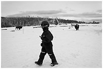 Child walking with buffaloes in the distance. Yellowstone National Park, Wyoming, USA. (black and white)