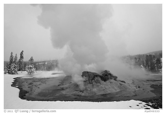 Grotto Geyser at dusk. Yellowstone National Park, Wyoming, USA.